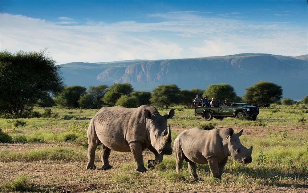 Hartbeestfontein Marataba Safari Lodge מראה חיצוני תמונה